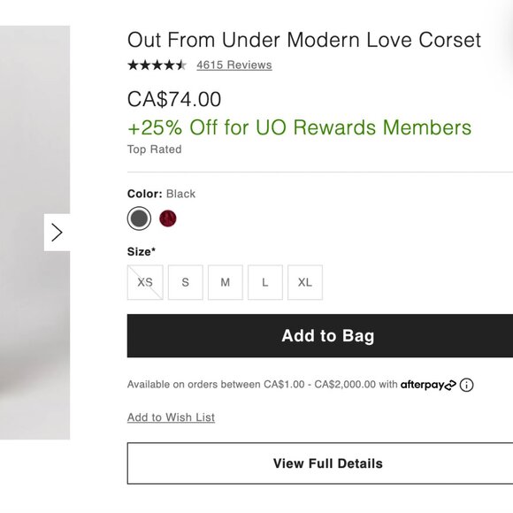 Urban Outfitters Out From Under Modern Love Corset (Burgundy) - Picture 6 of 6